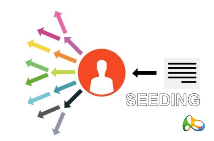 seeding là gì